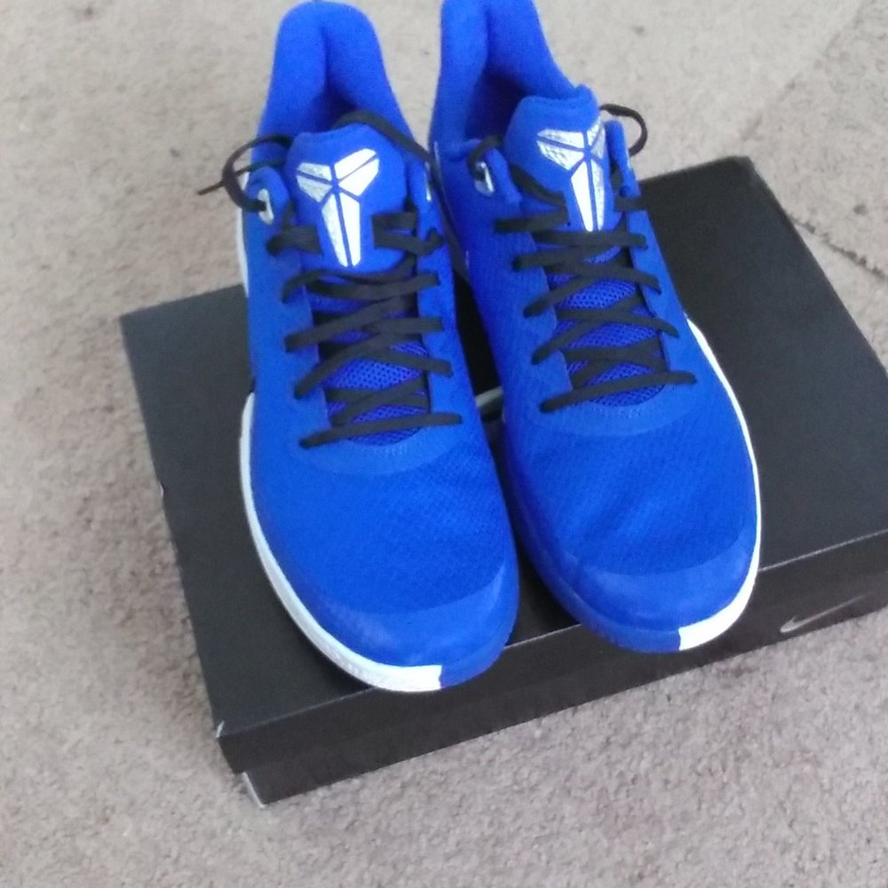 Kobe Mamba focus Tb US size 11 (Men's) Game Royal/